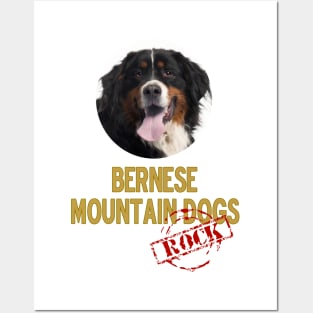 Bernese Mountain Dogs Rock Posters and Art